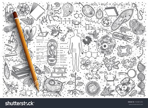 Biology Cute Pictures 的图像结果