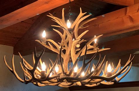 Mule Deer Antler Chandelier at Stephanie Fleming blog
