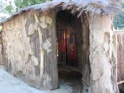 ZooLex Exhibit - Predators of the Serengeti: Caracal and Dwarf Mongoose