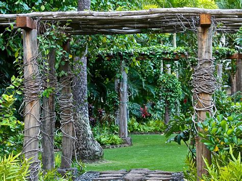 Image result for Backyard Designs Graphics