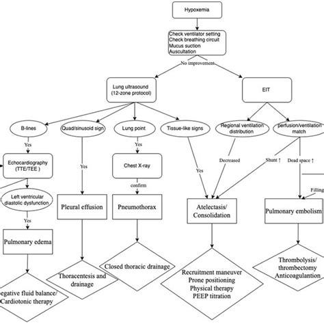 Image result for Hypoxemia Algorithm