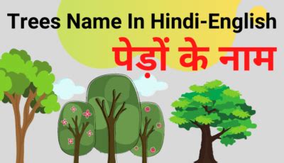 3,000+ Daily Use English Words With Hindi Meaning