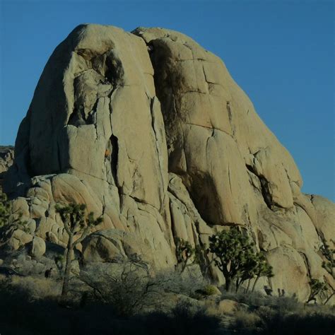 DESERT INSTITUTE AT JOSHUA TREE NATIONAL PARK (2026) All You Need to ...