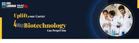 What is a student exchange program and how does it work?