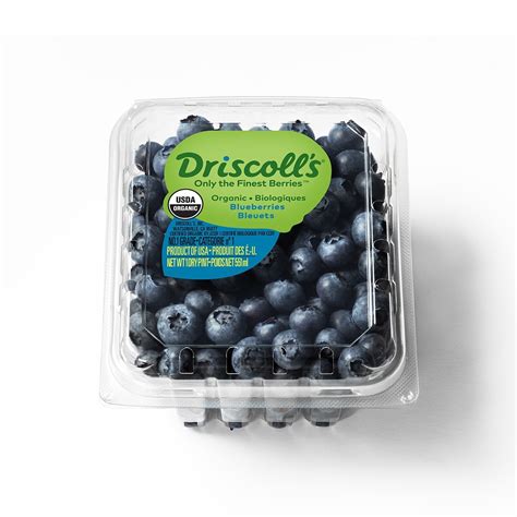 Driscoll's Berry Blueberry Pint Organic 1 pint | Shipt