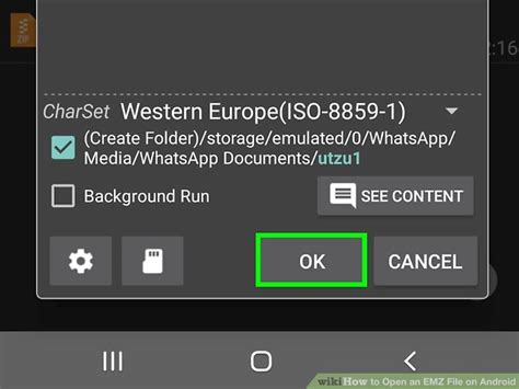 How to Open EMZ File 的图像结果