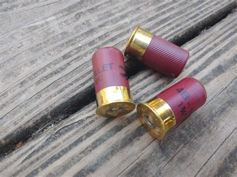 Image result for Mini 12Ga Shells