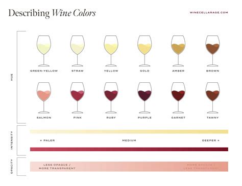 A Guide to The Color of Wine (and what it can tell you) - The Wine ...