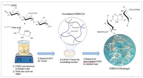 Crosslinked Carboxymethyl Sago Starch/Citric Acid Hydrogel for Sorption ...