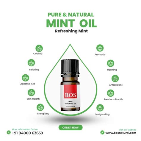 Mint Oil - Refreshing Coolness for Culinary and Aromatherapy Bliss