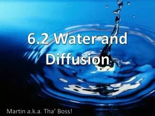 Water Diffusion 的图像结果