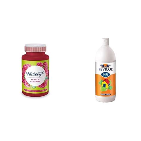 Pidilite Fevicryl Acrylic Colour, Maroon Acrylic Paint, 500 ml ...