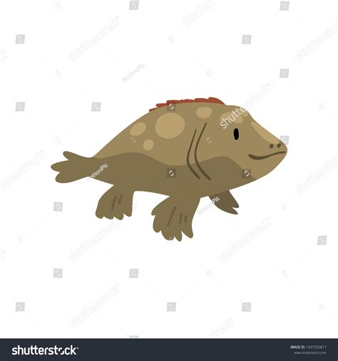 Image result for Fish Evolution Human Animation