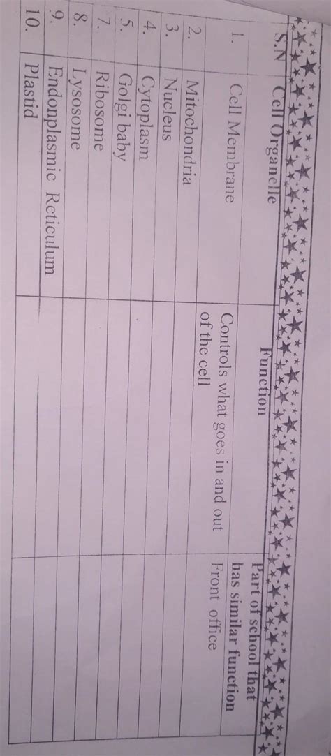 Consider a cell like your school each part of the cell (school) has ...