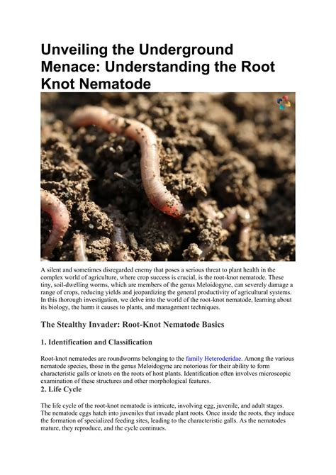 What is a Root-knot Nematode? Deep Understanding | The Lifesciences Magazine | PDF