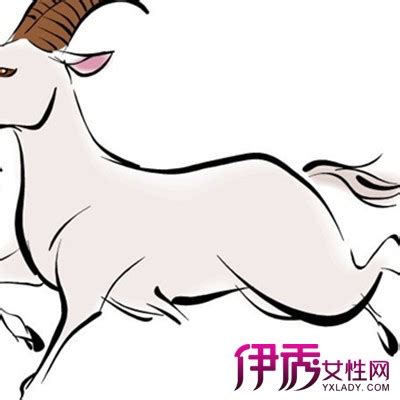 【羊生肖】【图】欣赏羊生肖的图片 盘点属羊的运势及性格(2)_伊秀星座|yxlady.com