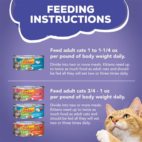Buy (40 Pack) Friskies Pate Wet Cat Food Variety Pack, Seafood ...