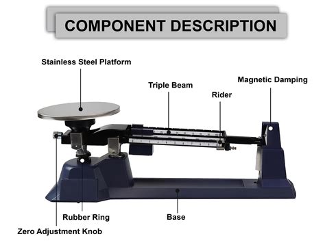 Label The Parts Of A Triple Beam Balance at Stephanie Daley blog