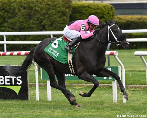 Buck Dancing Tutorial 的图像结果