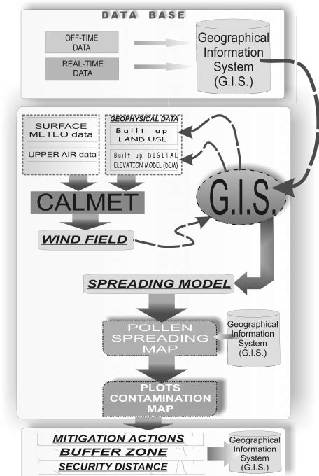 Linear System Equation Spatial Algorithm 的图像结果