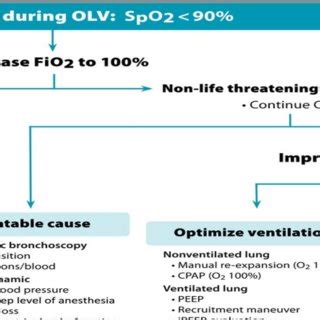 Image result for Hypoxemia Algorithm