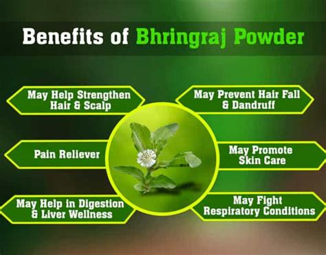 Buy HERBAL HILLS BHRINGRAJ POWDER - 1KG - PACK OF 2 Online & Get Upto ...