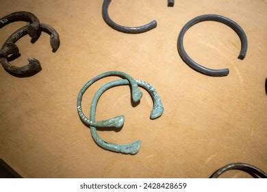 Image result for Tissue Sample Drawing Under Microscope