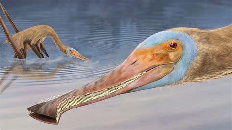 Spinosaur: Scientists have reconstructed the brain of a million-year-old dinosaur - BBC Newsround