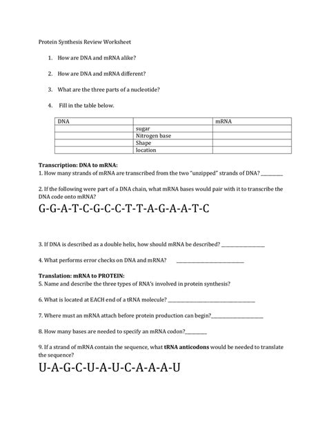Image result for Protein Synthesis Race Answer Key