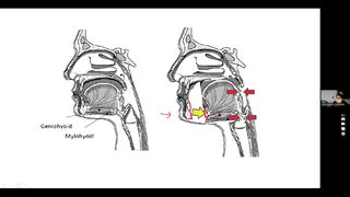 Ace Achievers Dental Academy