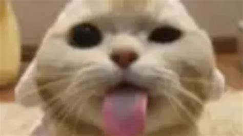 Image result for Nihilize H4X Script