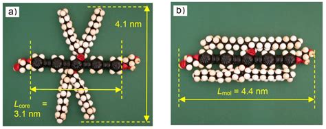 Effects of Lateral and Terminal Chains of X-Shaped Bolapolyphiles with ...