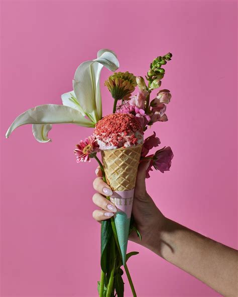 Frozen Dairy Dessert vs Ice Cream: What’s the Real Difference? | Anita ...