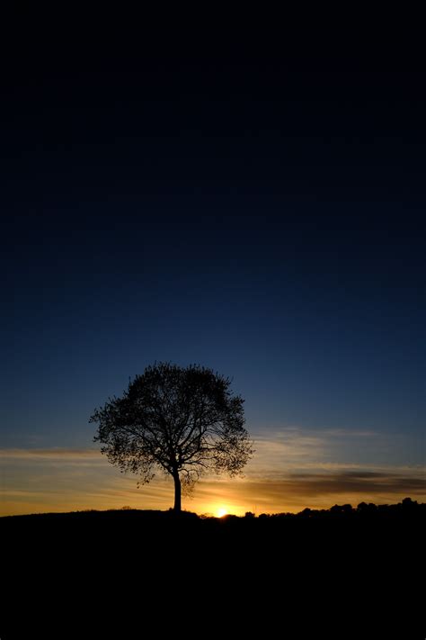 Natural Mobile Wallpapers - 4k, HD Backgrounds on WallpaperBat