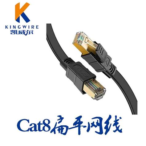 Cat8 八类网线是什么？与Cat5、Cat6、Cat7网线的区别？ - 无图版 电线电缆网DXDLW