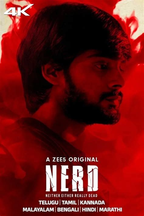 Image result for Software Developer Web Series