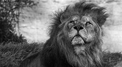 Big+Booty+Mexican+Girls Photos, Download The BEST Free Big+Booty ...