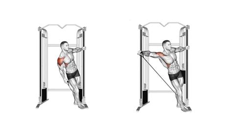 Cable Lateral Raise Vs Machine at Elizabeth Klug blog