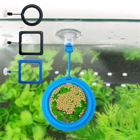 Gadgets Circle Feeding Ring – cloningaquapets