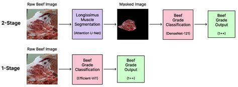 Beef Carcass Grading with EfficientViT: A Lightweight Vision ...