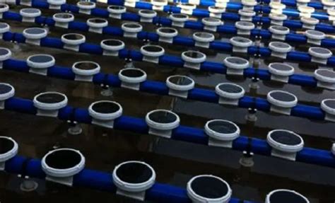 Image result for Diffuser Aerator