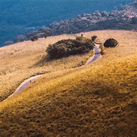 Image result for Mathale Driving Photos