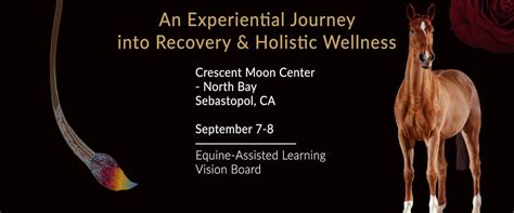 Equine-Assisted Learning & Vision Board Weekend Retreat, Sebastopol ...
