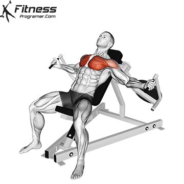 Image result for Chest Fly Machine Workout