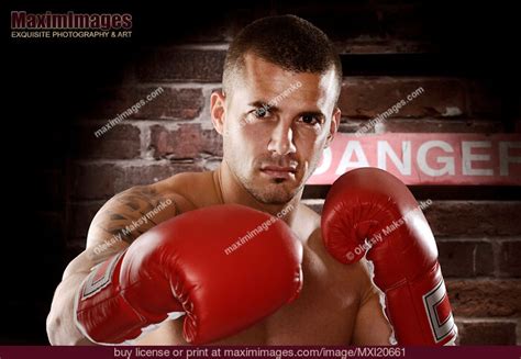 拳击 的图像结果