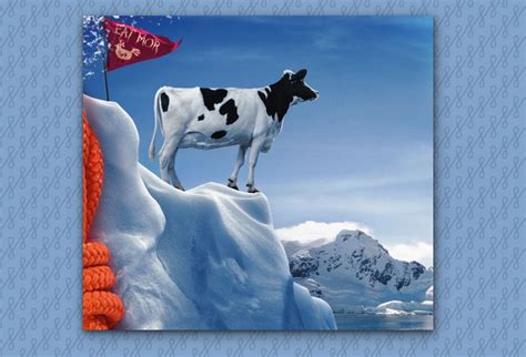 Image result for Opening Program Example