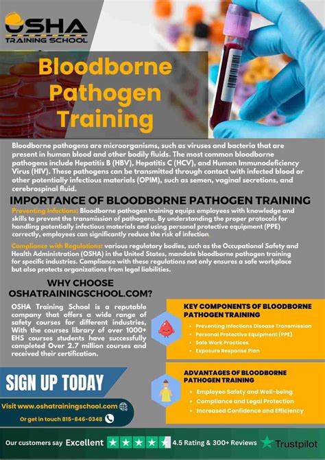 Bloodborne Pathogen Training: Essential Knowledge for a Safe Workplace