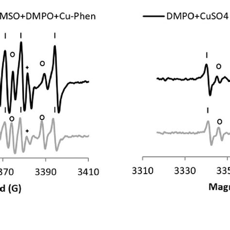 Dmpo H2O2 的图像结果