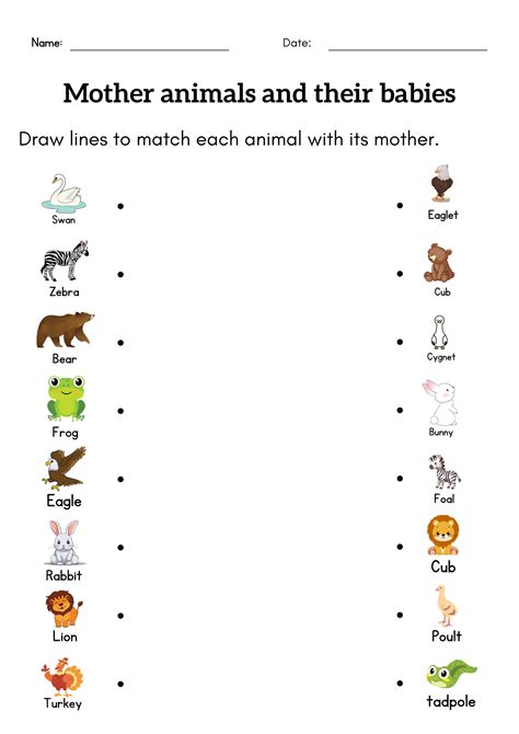 Mother Animal And Baby Animal Names at Ellie Roseby blog