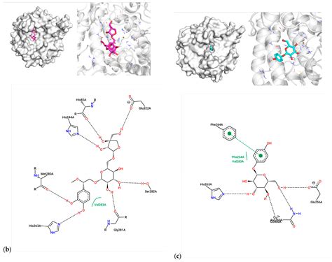 Chemical Profiling and Tyrosinase Inhibition Mechanism of ...
